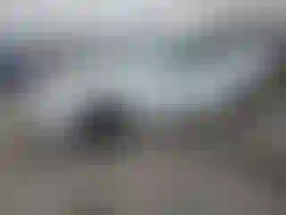 Vehicle Image- 2020 Tesla Model 3