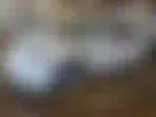Vehicle Image- 2020 Tesla Model 3