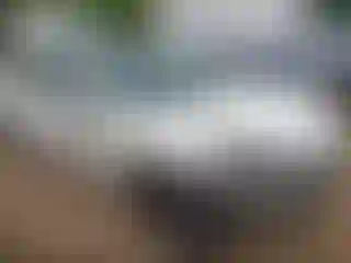 Vehicle Image- 2020 Tesla Model 3