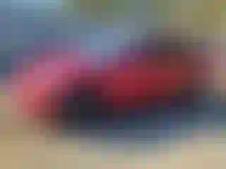 Vehicle Image- 2021 Tesla Model 3