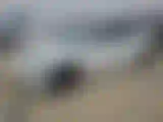 Vehicle Image- 2022 Tesla Model 3