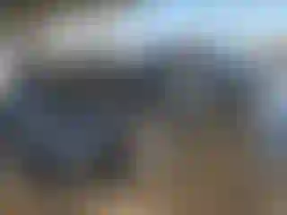 Vehicle Image- 2023 Tesla Model 3