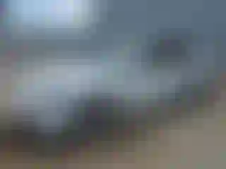Vehicle Image- 2023 Tesla Model 3