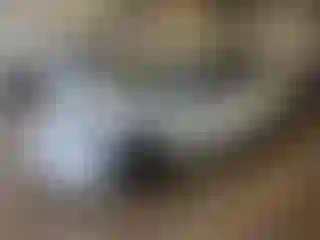 Vehicle Image- 2023 Tesla Model 3