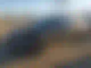 Vehicle Image- 2023 Tesla Model 3