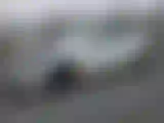 Vehicle Image- 2023 Tesla Model 3