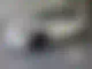 Vehicle Image- 2023 Tesla Model 3