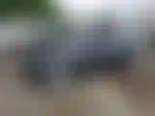 Vehicle Image- 2023 Tesla Model 3