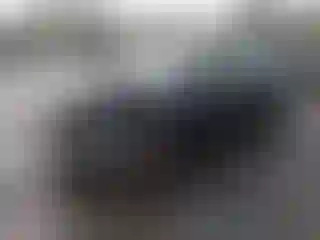 Vehicle Image- 2024 Tesla Model 3