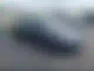 Vehicle Image- 2024 Tesla Model 3