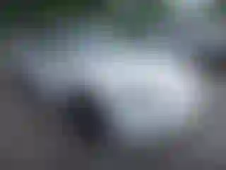 Vehicle Image- 2024 Tesla Model 3