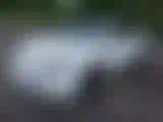 IMPORTOWO.pl