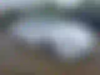 Vehicle Image- 2020 Tesla Model 3
