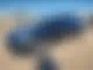 Vehicle Image- 2021 Tesla Model 3