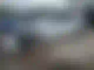 Vehicle Image- 2022 Tesla Model 3