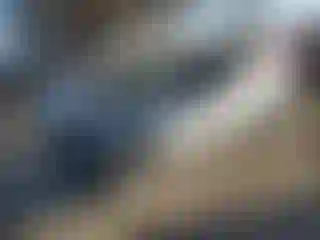 Vehicle Image- 2022 Tesla Model 3