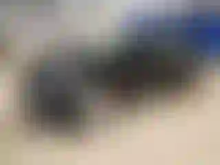 Vehicle Image- 2023 Tesla Model 3