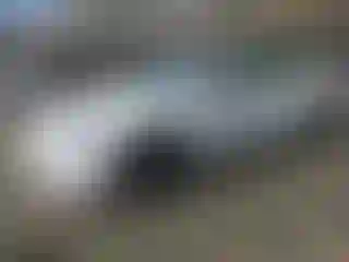 Vehicle Image- 2023 Tesla Model 3