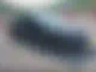Vehicle Image- 2023 Tesla Model 3