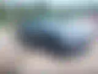 Vehicle Image- 2023 Tesla Model 3