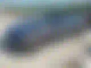 Vehicle Image- 2023 Tesla Model 3