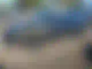 Vehicle Image- 2024 Tesla Model 3