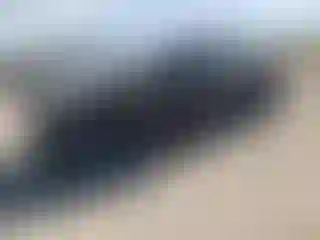 Vehicle Image- 2024 Tesla Model 3