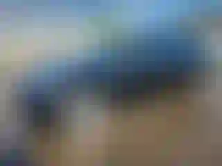 Vehicle Image- 2019 Tesla Model 3