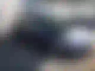 Vehicle Image- 2019 Tesla Model 3