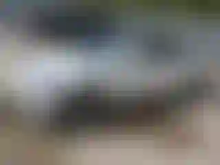 Vehicle Image- 2019 Tesla Model 3