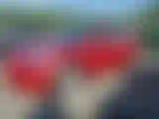 Vehicle Image- 2020 Tesla Model 3