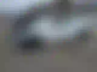 Vehicle Image- 2020 Tesla Model 3