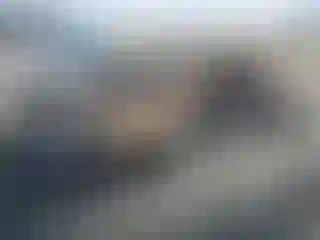 Vehicle Image- 2021 Tesla Model 3