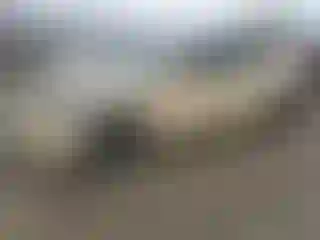 Vehicle Image- 2021 Tesla Model 3