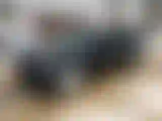 Vehicle Image- 2022 Tesla Model 3