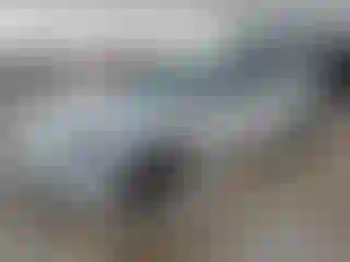 Vehicle Image- 2023 Tesla Model 3