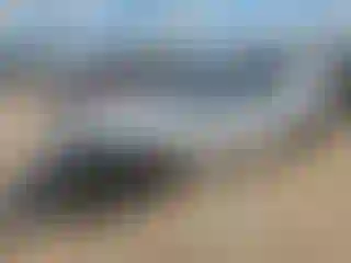 Vehicle Image- 2023 Tesla Model 3