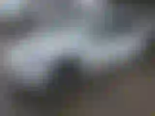 Vehicle Image- 2023 Tesla Model 3