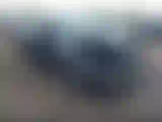 Vehicle Image- 2024 Tesla Model 3