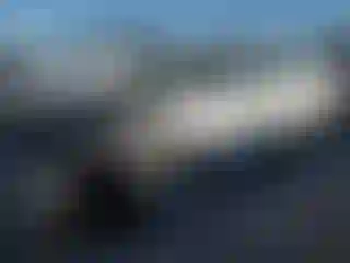 Vehicle Image- 2018 Tesla Model 3