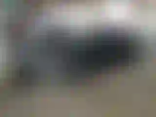 Vehicle Image- 2019 Tesla Model 3