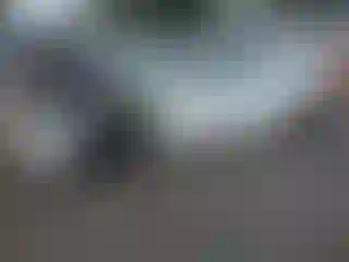 Vehicle Image- 2019 Tesla Model 3