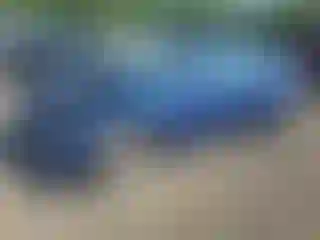 Vehicle Image- 2019 Tesla Model 3