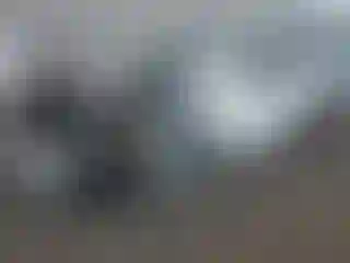 Vehicle Image- 2020 Tesla Model 3