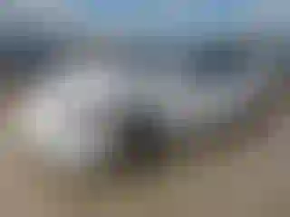 Vehicle Image- 2020 Tesla Model 3