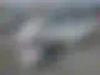Vehicle Image- 2020 Tesla Model 3