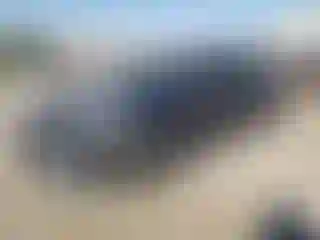 Vehicle Image- 2021 Tesla Model 3