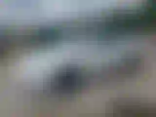 Vehicle Image- 2021 Tesla Model 3