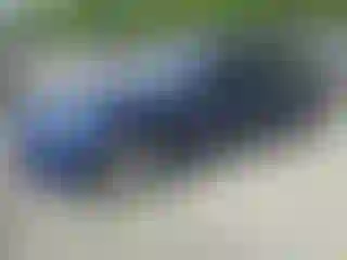 Vehicle Image- 2022 Tesla Model 3