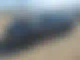 Vehicle Image- 2022 Tesla Model 3